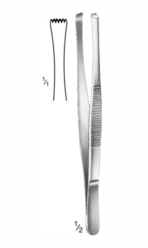 Dissecting Forceps
